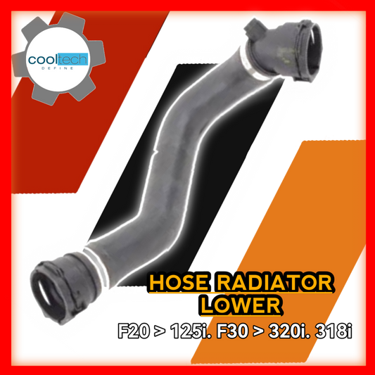 Hose Radiator Lower F20 125i F30 320i 328i